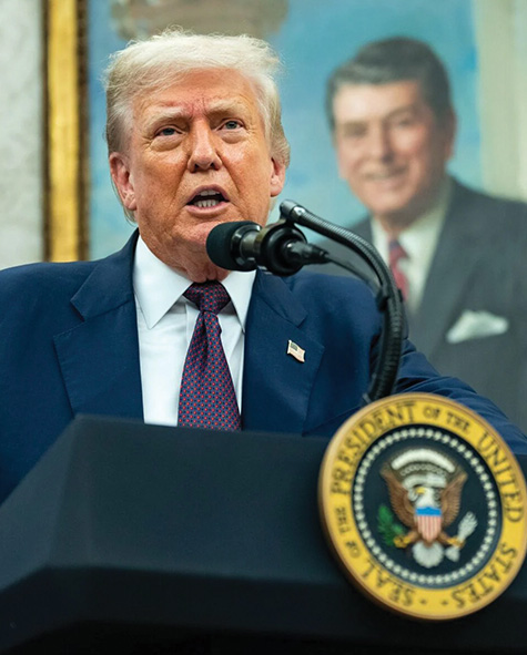 istoria-dasmwn-exaireseis-emporio-politimwn-lithwn-margaritaria